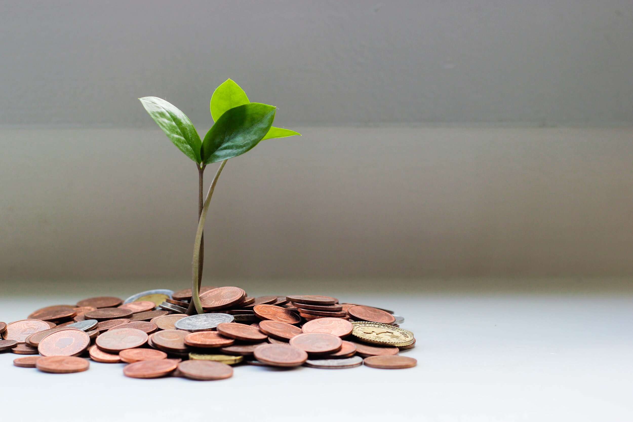 Die richtigen Dinge tun - und Strategien auch mit knappen Ressourcen umsetzen.
